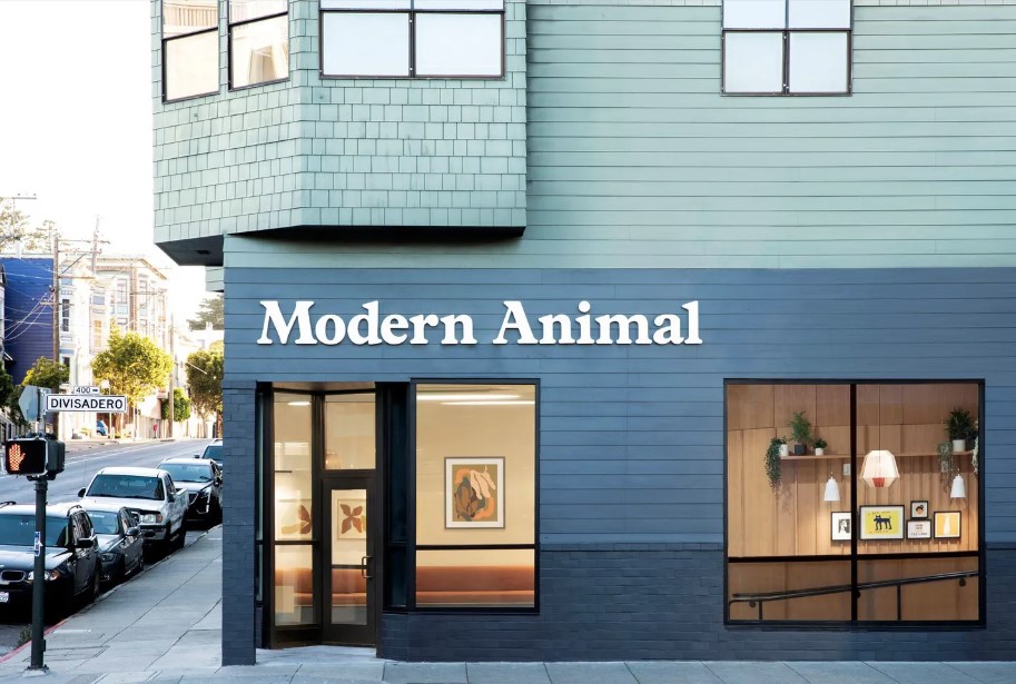 Modern-Animal-AZ-1